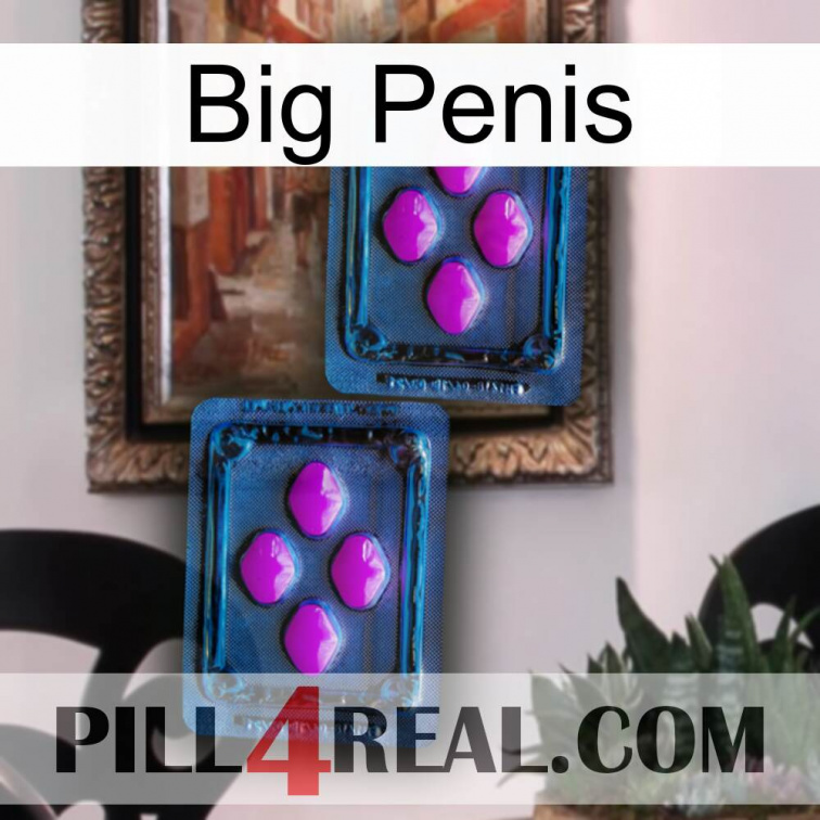 Big Penis 03